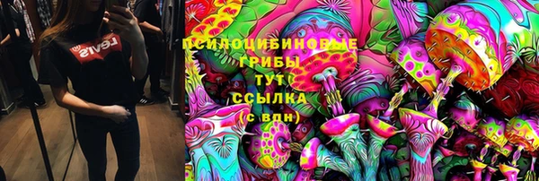 MESCALINE Елизово