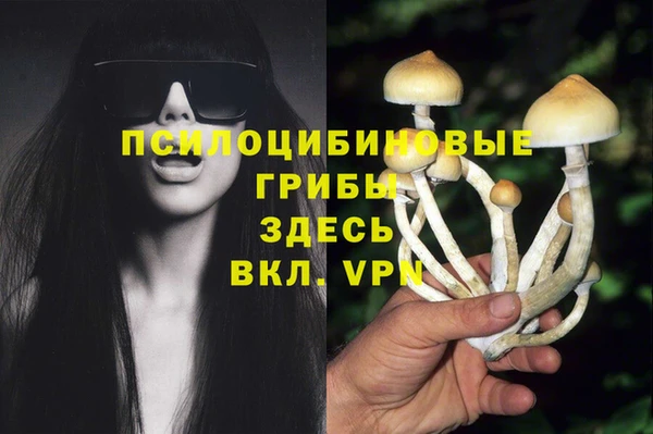 PSILOCYBIN Елабуга